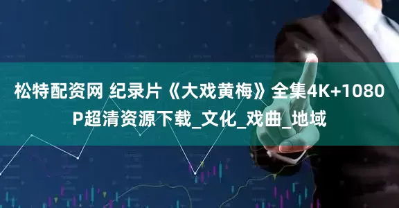 松特配资网 纪录片《大戏黄梅》全集4K+1080P超清资源下载_文化_戏曲_地域
