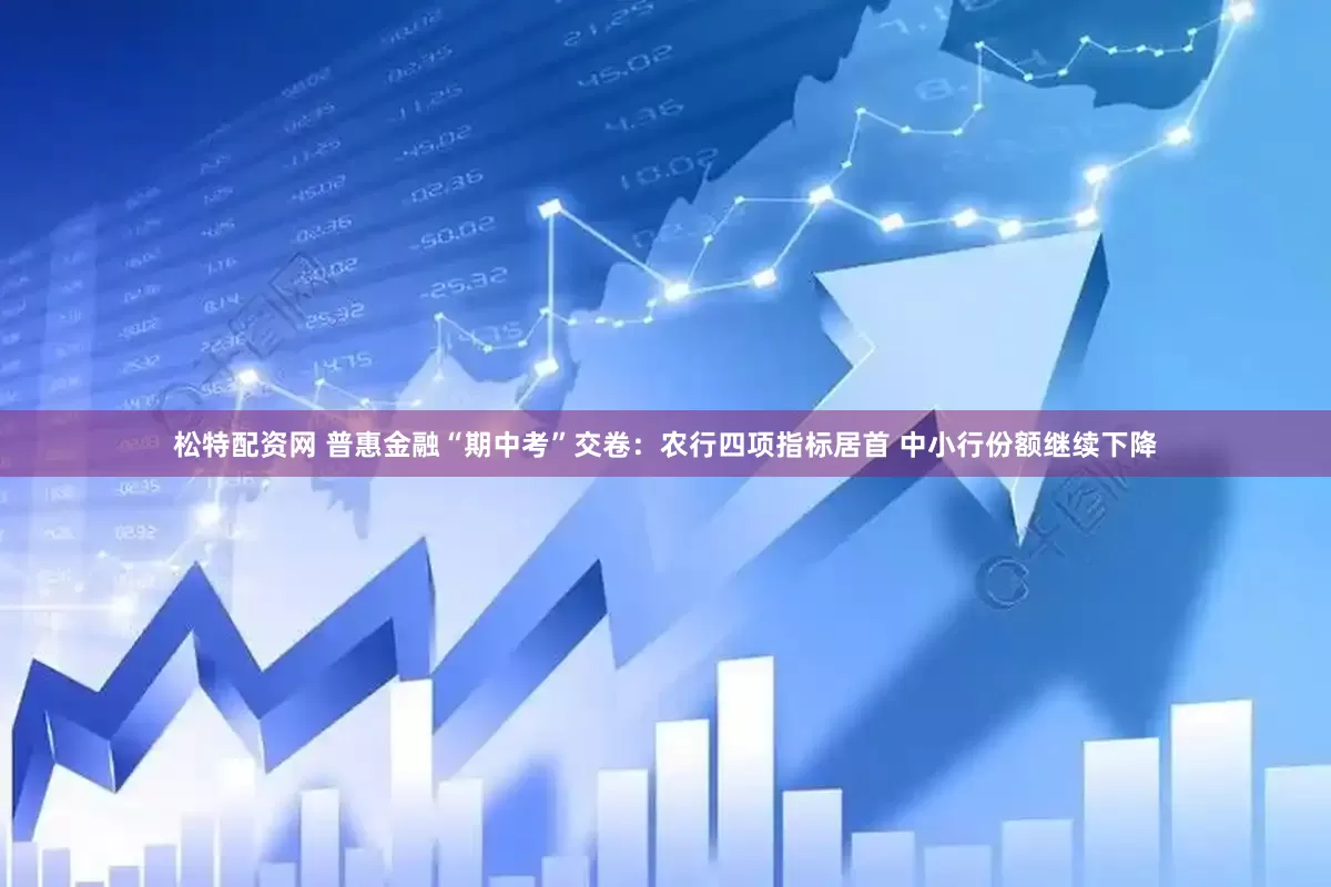 松特配资网 普惠金融“期中考”交卷:农行四项指标居首 中小行份额继续下降